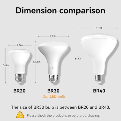 BR30 Flood Light Bulb Indoor