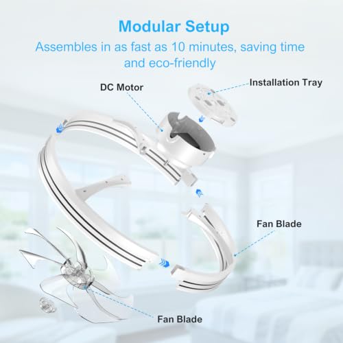 Ceiling Fans with Lights and Remote (White-Stripe / 20 INCH)