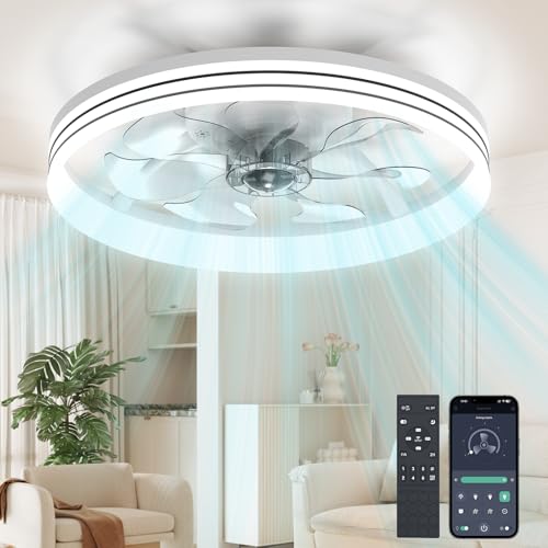 Ceiling Fans with Lights and Remote