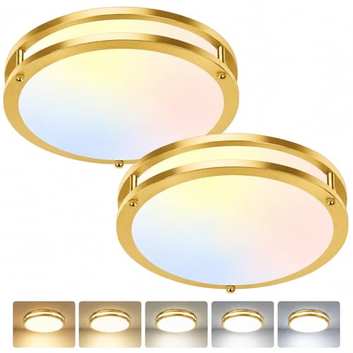 Ceiling Lights
