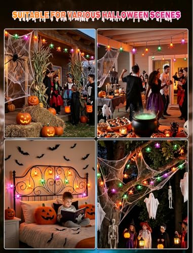 8.5Ft Halloween Outdoor Spider String Light (Spider)