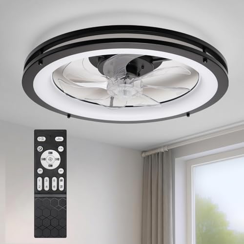 Ceiling Fans with Lights