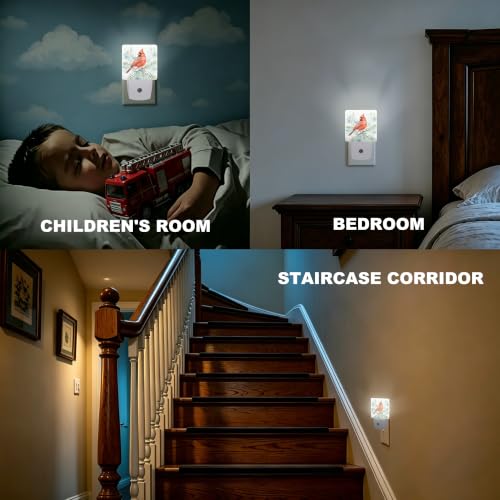 Night Lights Plug into Wall (Cardinal B)
