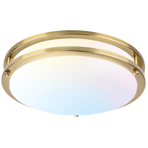 Flush Mount Ceiling Light