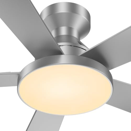 Ceiling Fans with Lights
