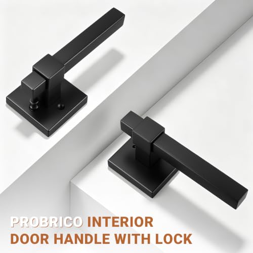 Door Handle Heavy Duty Square Reversible Door Lock