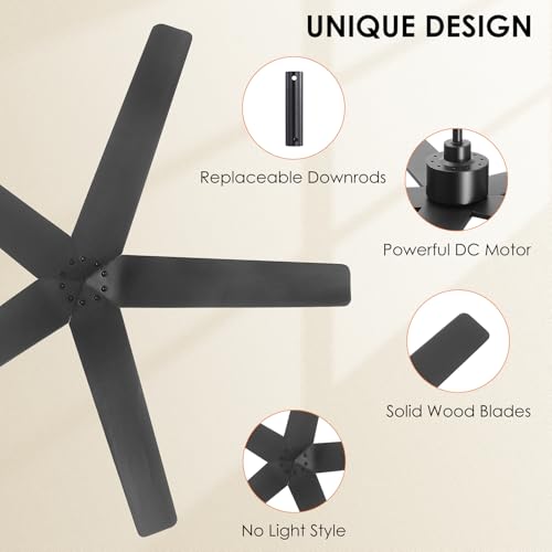 5 Blade Ceiling Fan without Lights