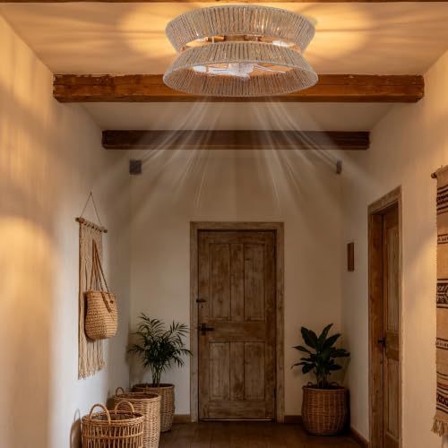 Ceiling Fan with Light