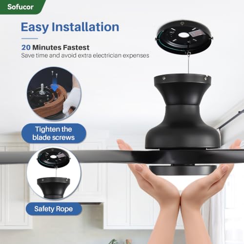 52 Inch Smart Ceiling Fans with Lights and Remote (Black / 52inch Max)