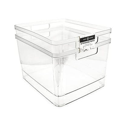 Isaac Jacobs 2-Pack Extra-Large Clear Storage Bins (11.5” L x 14” W x 9” H) | Cutout Handles, Plastic Organizer for Home, for Kitchen, Fridge, Pantry, BPA Free, Food Safe (2-Pack, Extra-Large)