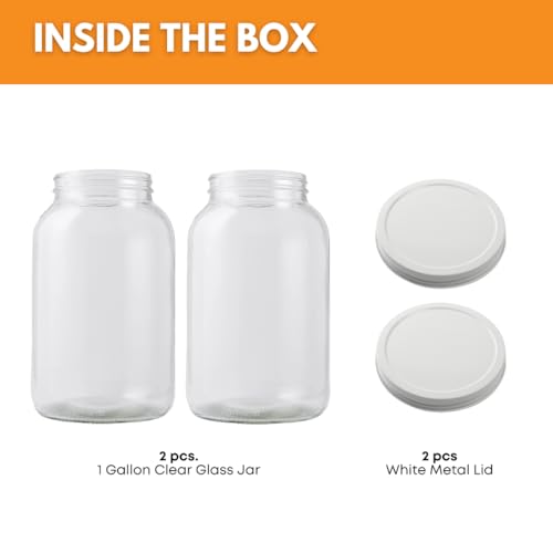 2-Pack 1 Gallon Glass Jar with Lid | Wide Mouth Set with White Metal Caps