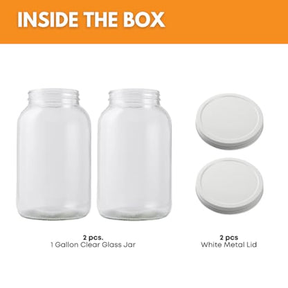 2-Pack 1 Gallon Glass Jar with Lid | Wide Mouth Set with White Metal Caps