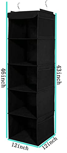 2 Pack Hanging Closet Organizer, 5 Shelves Hanging Storage with 6 Side Pockets for Clothes Shoes, 43"x12"x12"(Black)