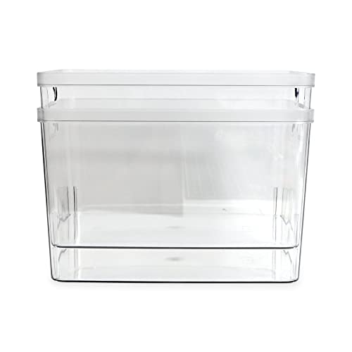 Isaac Jacobs 2-Pack Extra-Large Clear Storage Bins (11.5” L x 14” W x 9” H) | Cutout Handles, Plastic Organizer for Home, for Kitchen, Fridge, Pantry, BPA Free, Food Safe (2-Pack, Extra-Large)