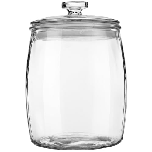 Wide Mouth Glass Jar with Airtight Lid, 1/2 Gal Clear Container