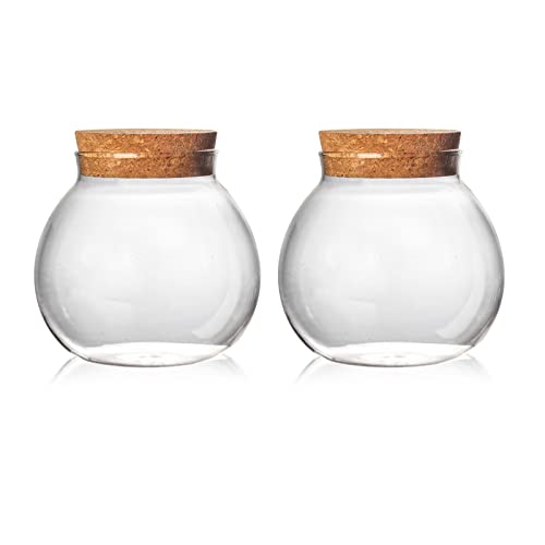 Set of 2 round glass jars with cork lid – 17oz wedding candy jar kitchen Storage jar, perfect for tea, biscuits, cereals, flour, beans, spices, coffee beans etc (2PCS)