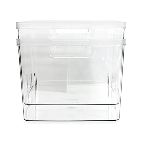 Isaac Jacobs 2-Pack Extra-Large Clear Storage Bins (11.5” L x 14” W x 9” H) | Cutout Handles, Plastic Organizer for Home, for Kitchen, Fridge, Pantry, BPA Free, Food Safe (2-Pack, Extra-Large)