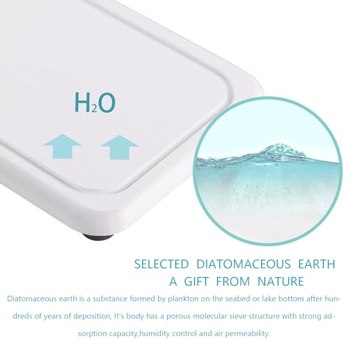 NiuYichee 2 Pcs Water Absorbing Stone Trays, Kitchen/Bathroom Sink Soap Dish, Diatomite Tray Used for Hand Soap & Cosmetic Bottles in The Modern Home, 4" W x 8.3" L, White