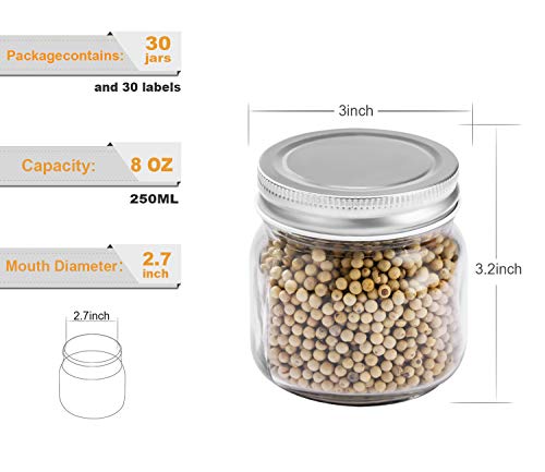 Mason Jars 8 oz 30 Pack Small Glass Caning Jars with Silver Lids