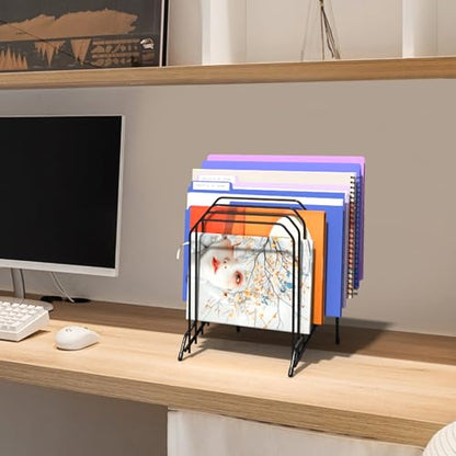 Incline Desk Magazine Folder Holder File Organizer with 8-Section