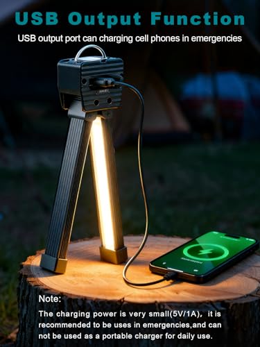 Gym Lamp, Portable Gym Lighting for Posing, Magnetic Work Light Rechargeable, 180°Rotate Foldable Camping Lamps with Hang Hook, Hiking Handheld LED Flashlight - Black
