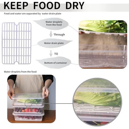Food Storage Container, (3-Pack) Plastic Food Cont... (Clear | Polypropylene)