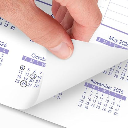 AT-A-GLANCE 2026 Wall Calendar, 8" x 11", Small, Ruled Blocks (PM12826)