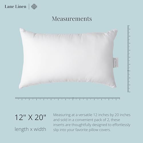 12x20 Pillow Insert - Pack of 2 White Decorative P... (2 Count | White)