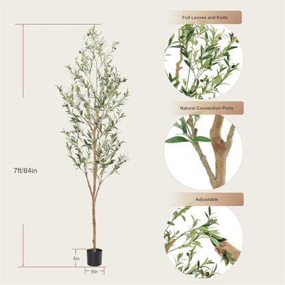 Faux Olive Tree 7ft，Olive Trees Artificial Indoor with Natural Wood Trunk and Realistic Leaves and Fruits. 7 Feet(84in) Fake Olive Tree for Home House Office Décor.