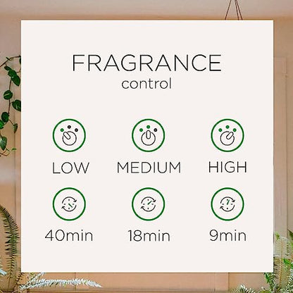 Air Wick Automatic Spray Starter Kit (Gadget + 2 Refills), Summer Delights, Essential Oils, Air Freshener, Odor Neutralization