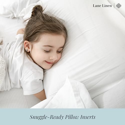 12x20 Pillow Insert - Pack of 2 White Decorative P... (2 Count | White)