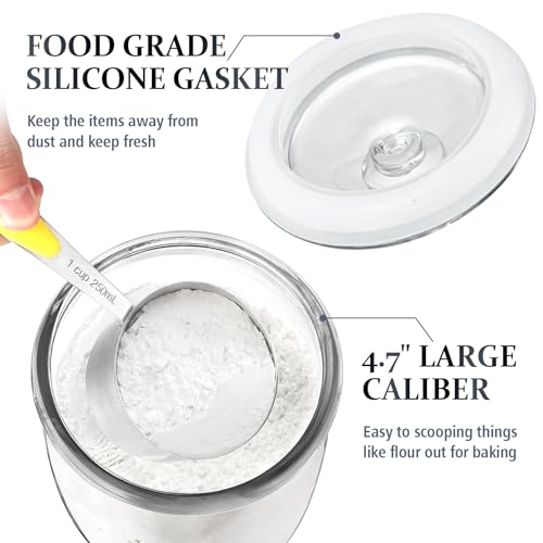 Wide Mouth Glass Jar with Airtight Lid, 1/2 Gal Clear Container