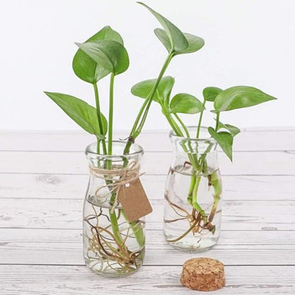 CUCUMI 12pcs 3.4oz Small Glass Jars with Cork Lids Mini Storage Bottles
