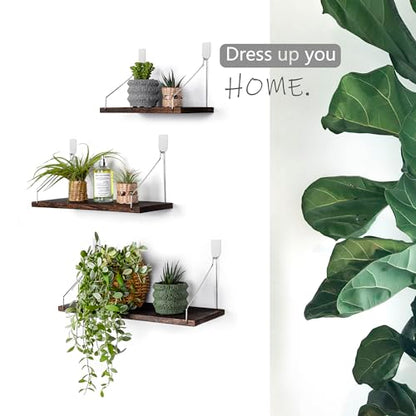 Floating Wall Shelves, Rustic Wood Wall Mounted Shelf Set of 3 | No Drill Adhesive Renter Friendly Floating Shelf, Display Rack for Plants Decor Bedroom Bathroom Kitchen