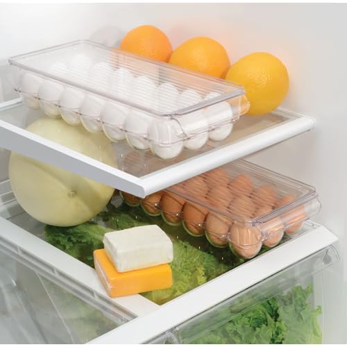 iDesign Clear Plastic Egg Holder for Fridge with Lid, 21 Egg
