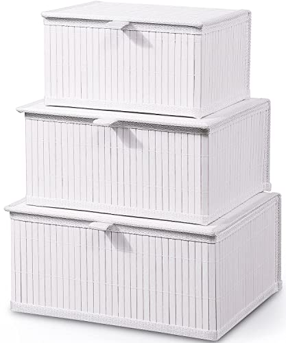 Bamboo Decorative Storage Boxes - Set of 3 Woven Lined Storage Basket with Lids, White Wicker Lidded Baskets for Home Kitchen Shelf Organizer Decor