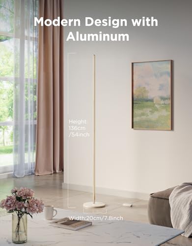 Govee RGBIC Floor Lamp Basic, 1000lm LED Corner Lamp | Works with Alexa, Smart Modern Floor Lamp with Music Sync and 16 Million DIY Colors, Color Changing Standing Lamp for Bedroom