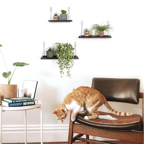 Floating Wall Shelves, Rustic Wood Wall Mounted Shelf Set of 3 | No Drill Adhesive Renter Friendly Floating Shelf, Display Rack for Plants Decor Bedroom Bathroom Kitchen