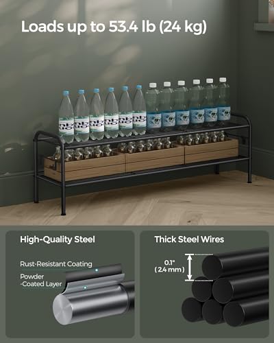 SONGMICS Shoe Rack, 2-Tier Shoe Organizer, Metal Shoe Shelf Storage with 4 Side Hooks, Holds 18 Pairs of Shoes, Height-Adjustable Shoe Rack for Entryway, Hallway, Closet, Ink Black ULMR121B01