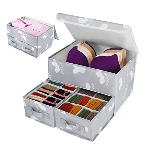 EASEVE Sock Underwear Drawer Divider - Closet Organizers and Dresser Organizer Wardrobe Clothes Box Storage Bins with Lid for Bra, Leggings, Shirt, Panty (1 Pack, Grey)