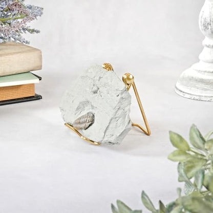 Folding Gold-toned Wire Easel Stand, 3" H x 2.75"... (Gold | Metal)