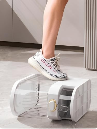 Gagee 11 Lbs Rice Dispenser, Clear