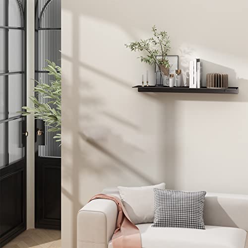 20 inch Floating Shelf for Wall Organizer & Storage, Mini Display Shelf, Metal Wall Shelf for Bathroom, Living Room, Kitchen, Bedroom(Matte Black)