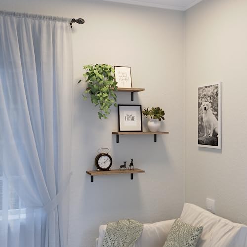 DOLLFIO Floating Shelves, 3 Sets Wall Shelves, Wooden Floating Shelves for Wall Décor, Wall Mounted Floating Bathroom Shelf for Storage, Floating Book Shelf for Bedroom, Living Room – Rustic Brown