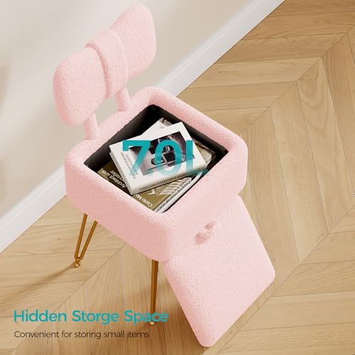 Small Vanity Stool Chair with Storage and Foldable Back, Pink