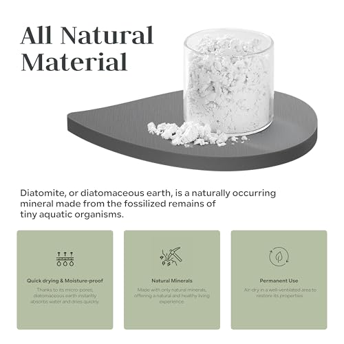 Facial Sponge Holder Compatibe with Buff-Puff Facial Sponge, Diatomite Water Absorbing Stone Drying Makeup Sponge Holder for Bathroom Counter