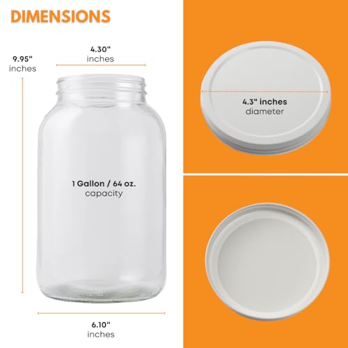 2-Pack 1 Gallon Glass Jar with Lid | Wide Mouth Set with White Metal Caps