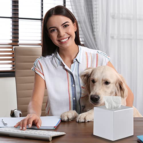 Tissue Box Cover, Modern Decorative Square Facial Storage Tissue Box Holder, Home Accessories for Bathroom Vanity Countertops, Dressers, Night Stand, Parlors and Office - White