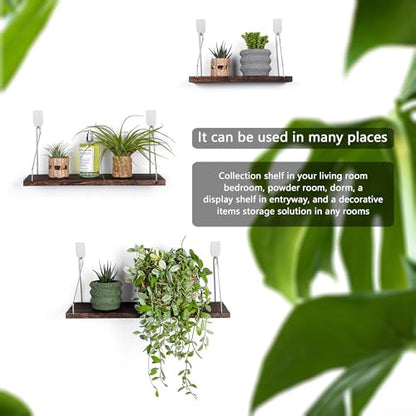 Floating Wall Shelves, Rustic Wood Wall Mounted Shelf Set of 3 | No Drill Adhesive Renter Friendly Floating Shelf, Display Rack for Plants Decor Bedroom Bathroom Kitchen