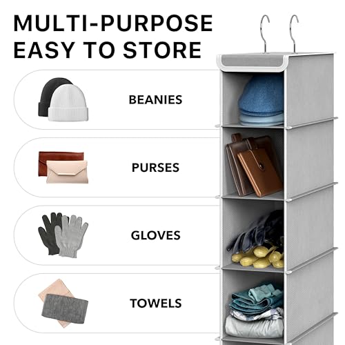 Simple Houseware 10 Shelves Closet Hanging Shoe Organizer, Gray | Dual Metal Hooks, Holds Up to 20 lbs, for Narrow Space